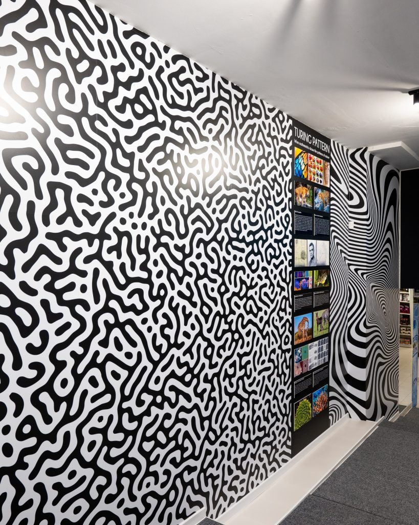 J Point брандира вътрешно и външно Phenomena museum