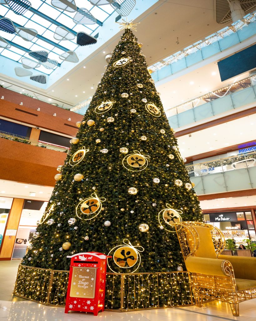 J Point брандира събитието Totally Events в Парадайс център