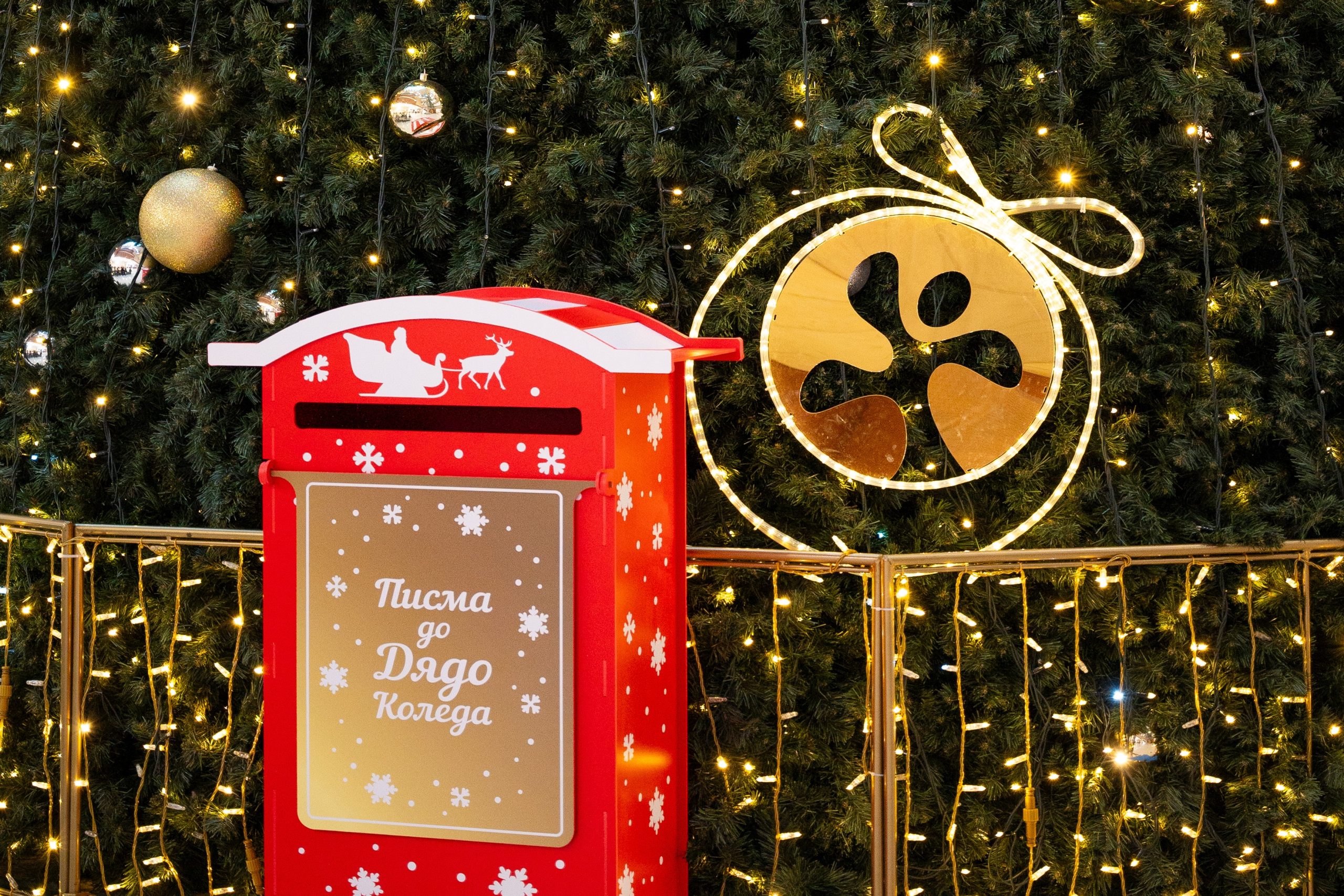 J Point брандира събитието Totally Events в Парадайс център